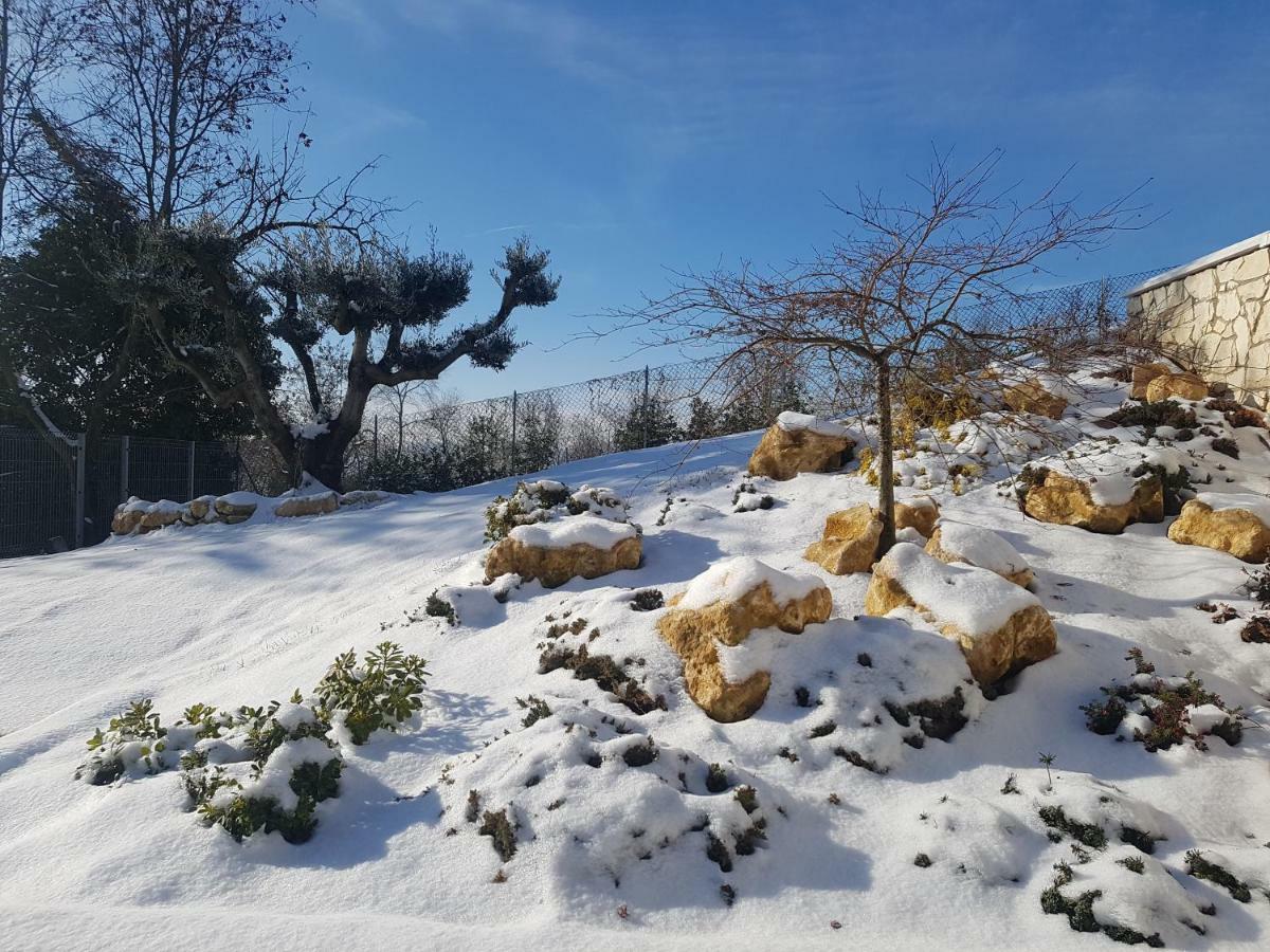 Tobaland B&B Monteviale Exterior foto